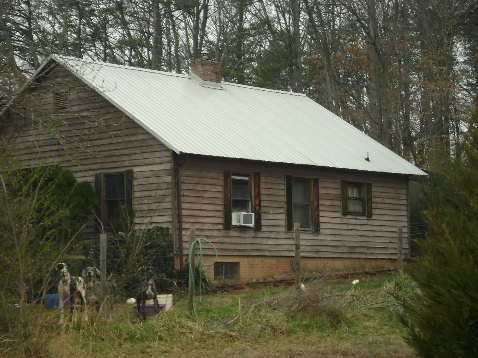 White metal roof on an old wood sided farmhouse, from a Asphalt Shingle Roof Repair job in Benson